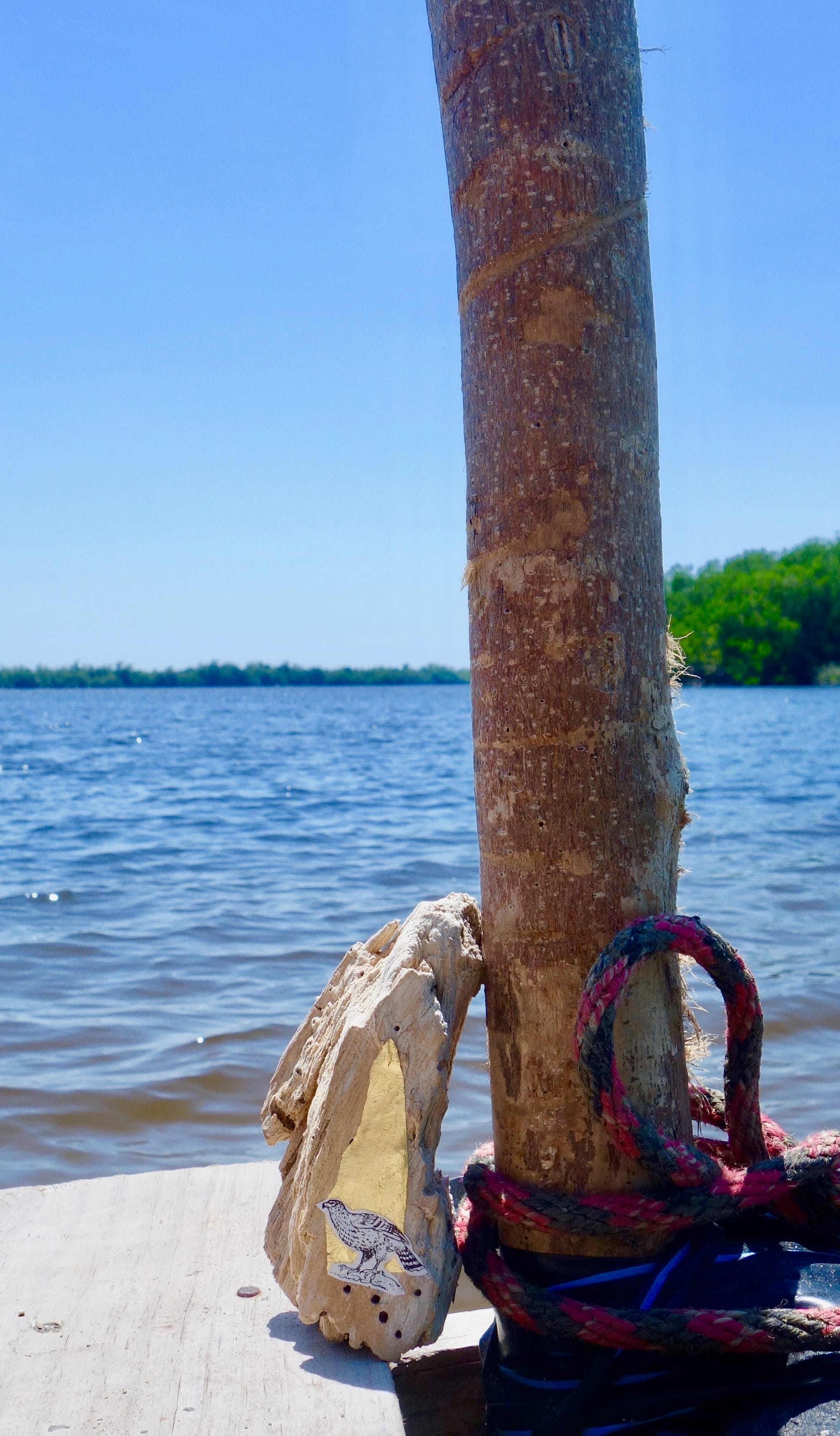 Laguna de Manialtepec