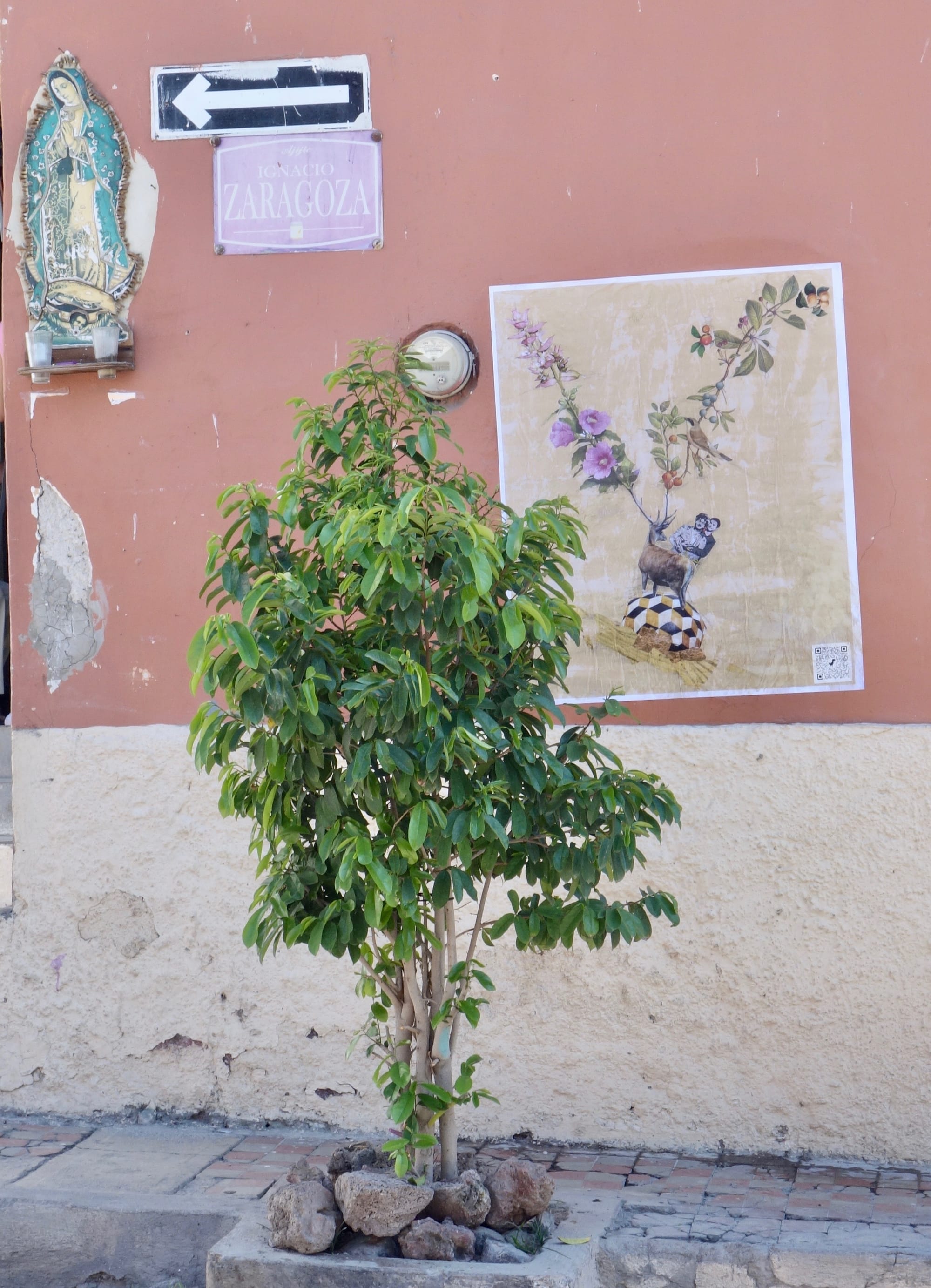 Calle  Zaragoza, Ajijic,Mexico