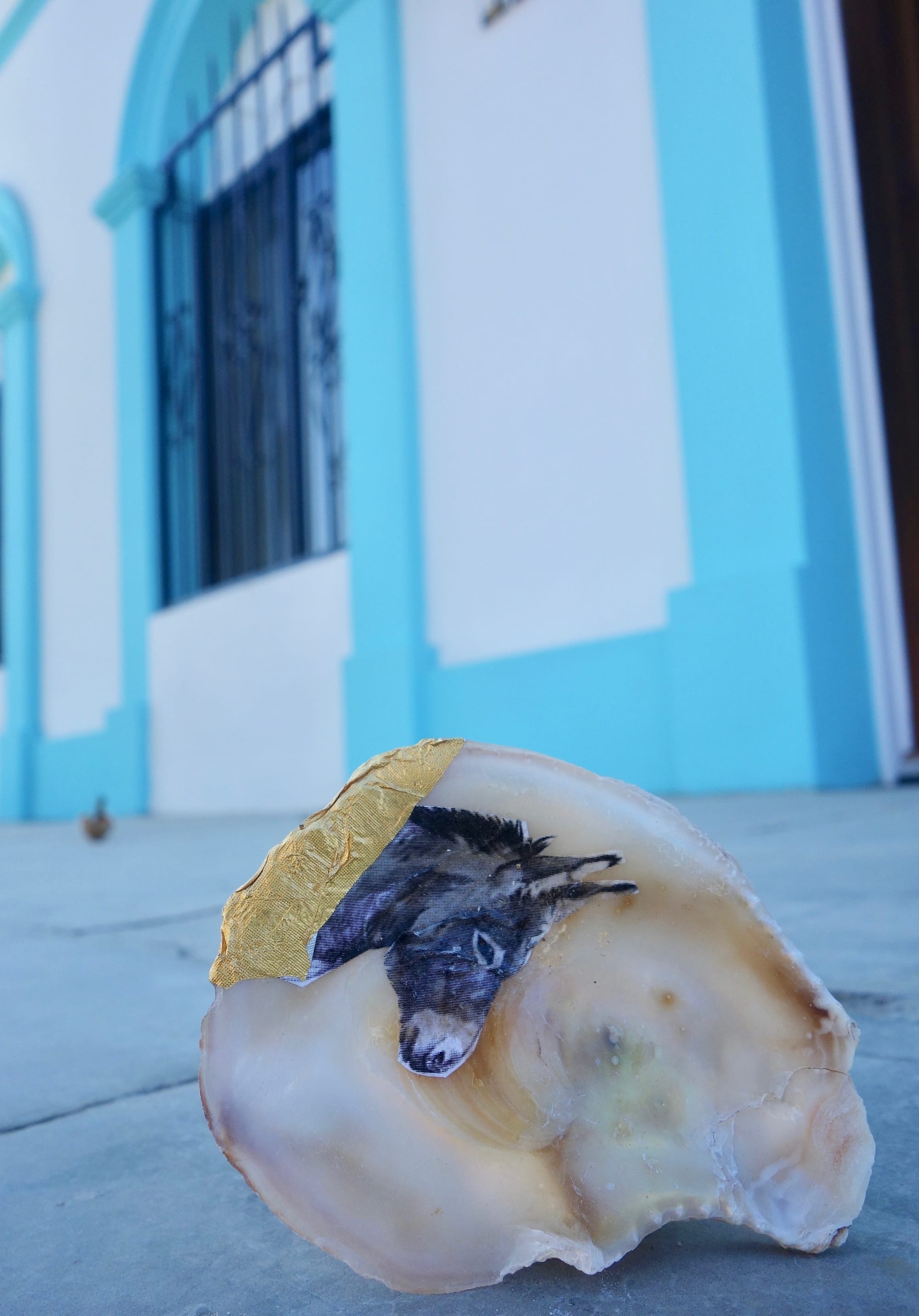 Todos Santos, Baja California Sur, Mexico