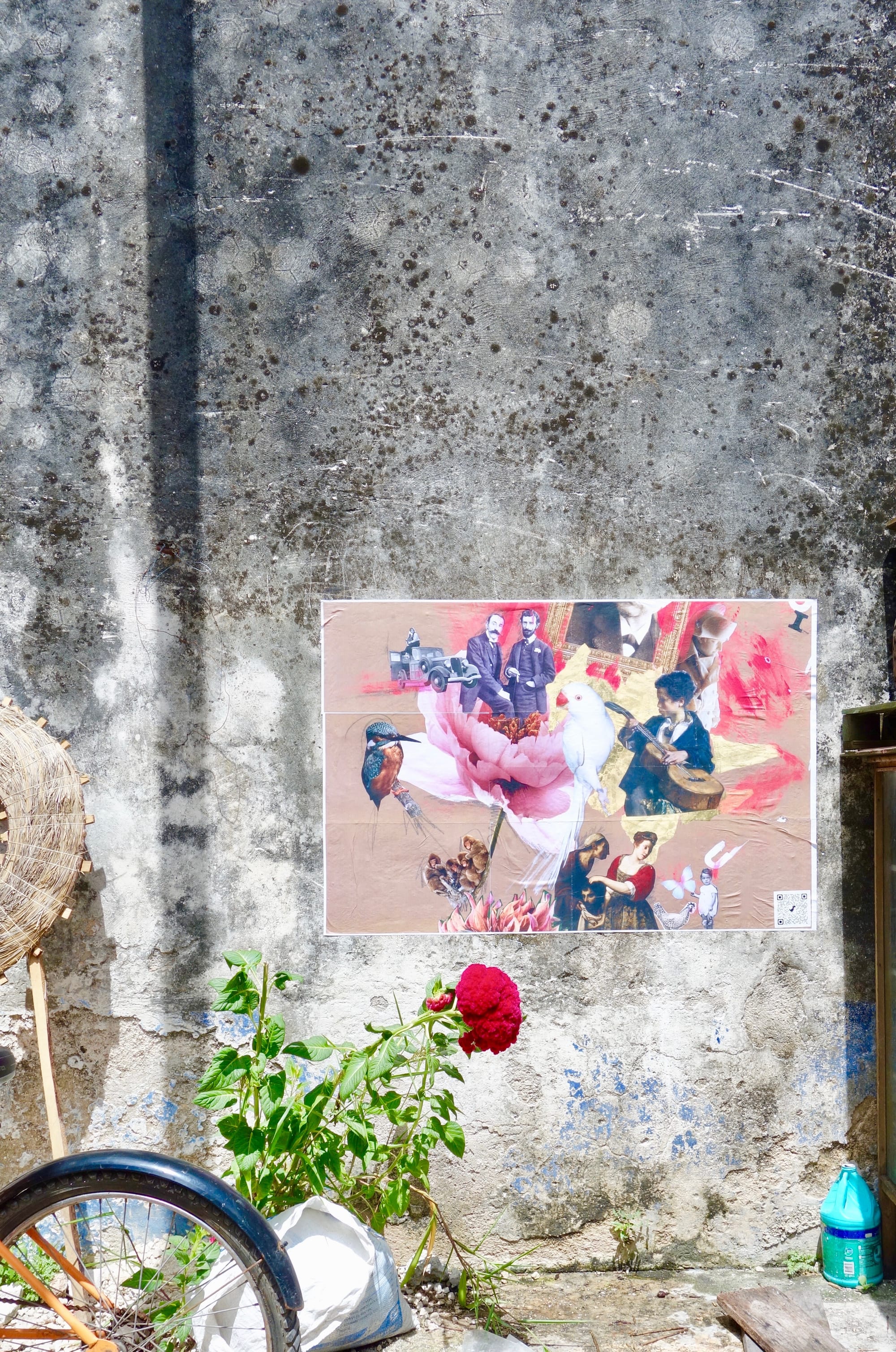Calle 22, the flower shop 
