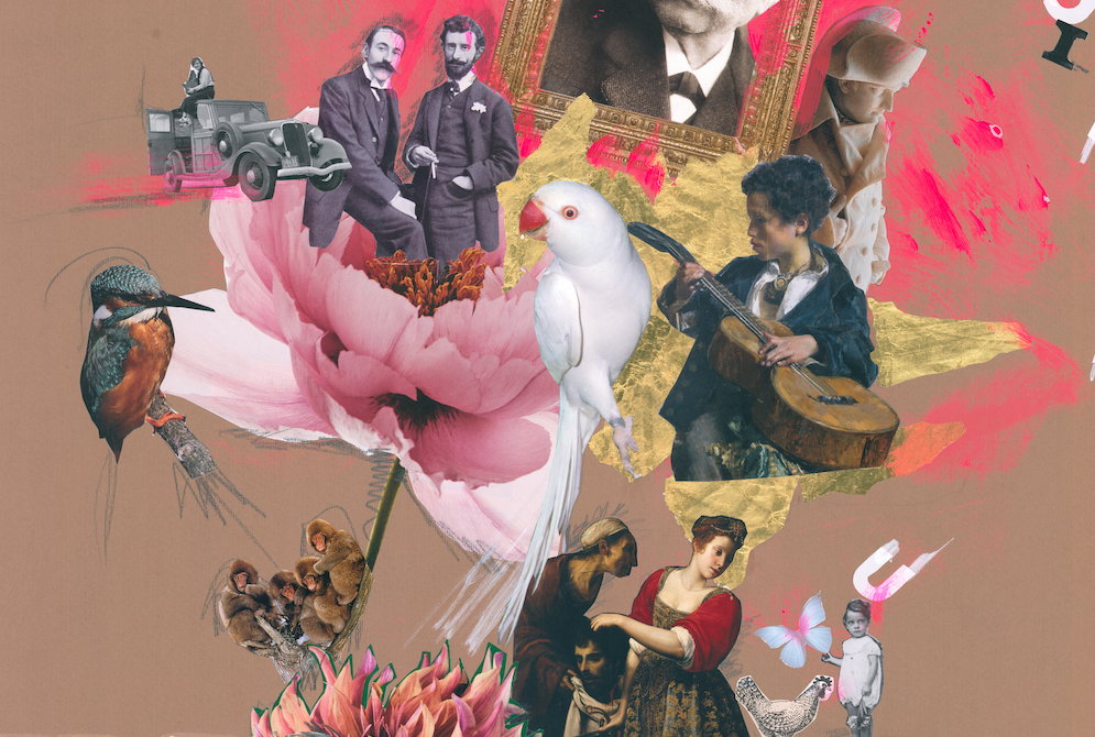 Calle 22, the flower shop 