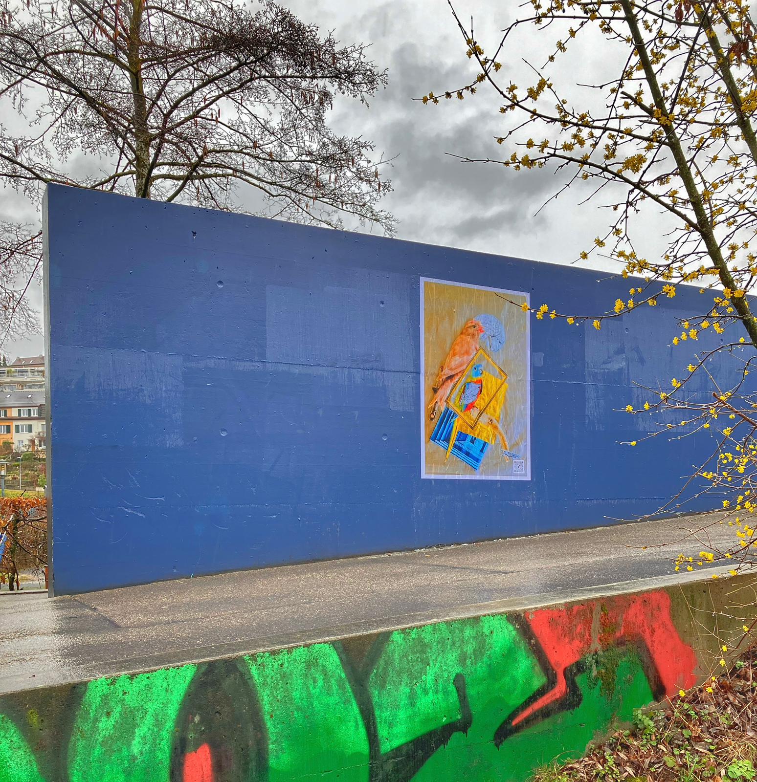 Adding colors  to the green of Hardeggsteg.The birds are back to Nature ... 