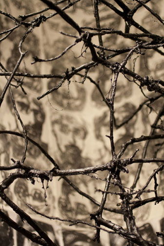 The Limits of Preservation