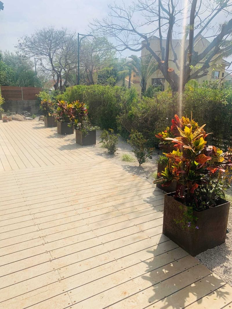 הפרויקטים שלנו