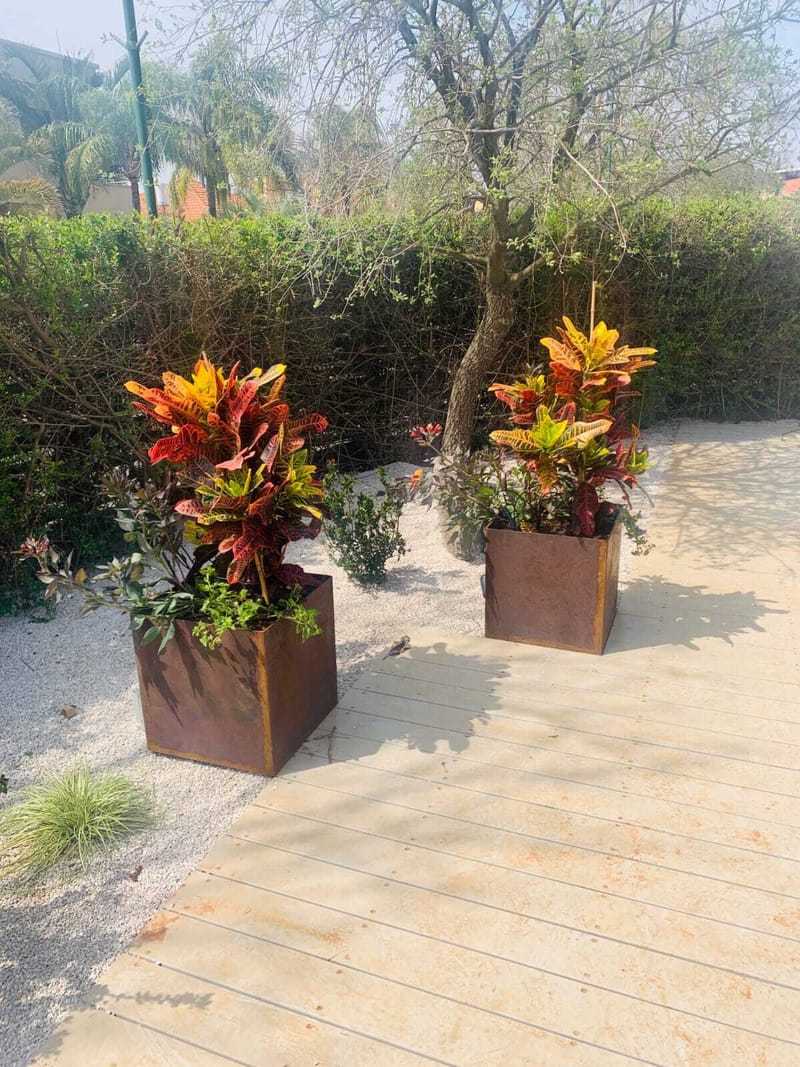 הפרויקטים שלנו