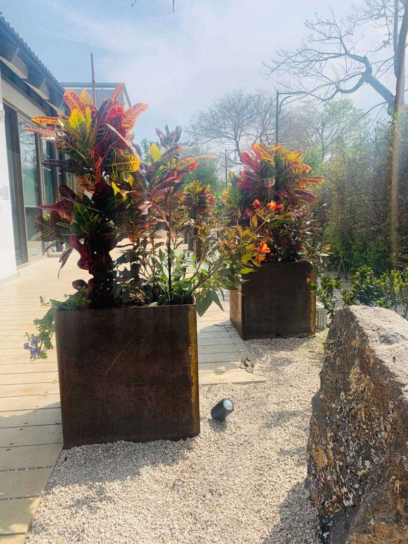 הפרויקטים שלנו