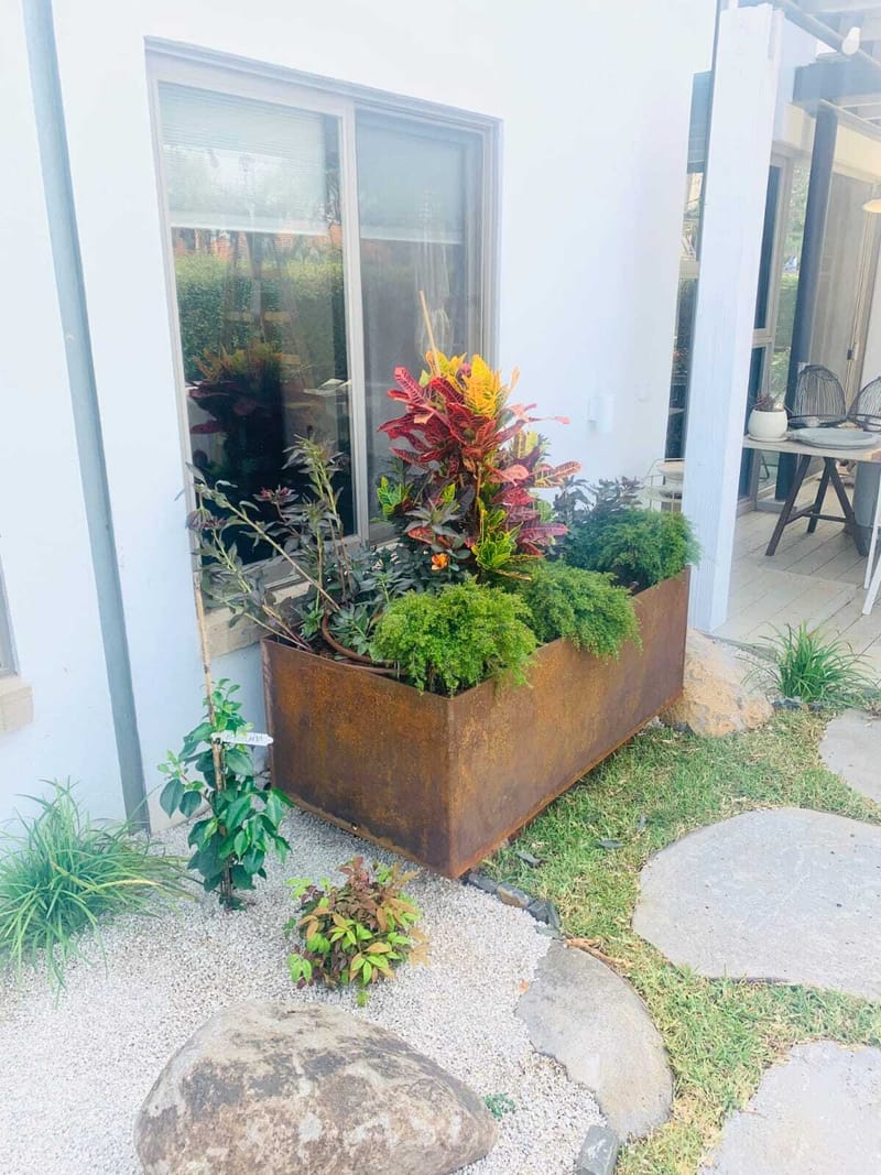 הפרויקטים שלנו