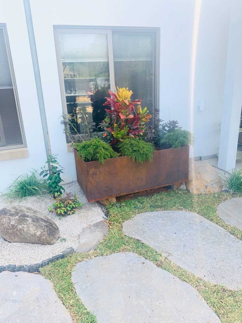 הפרויקטים שלנו