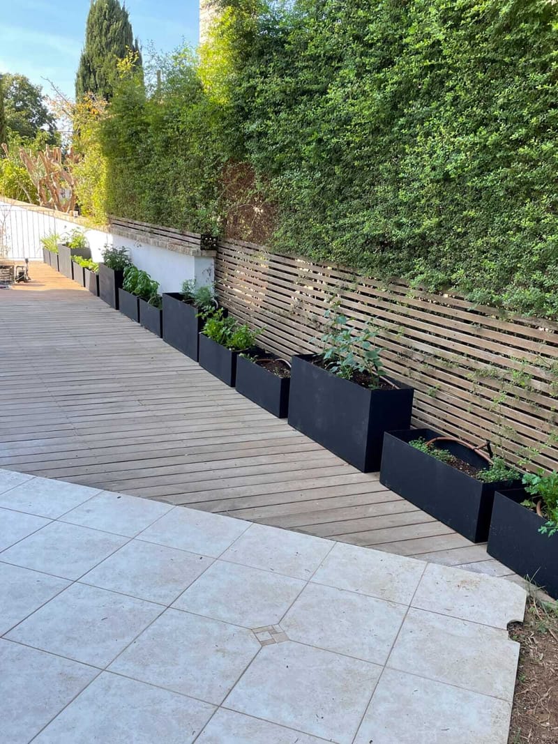 הפרויקטים שלנו