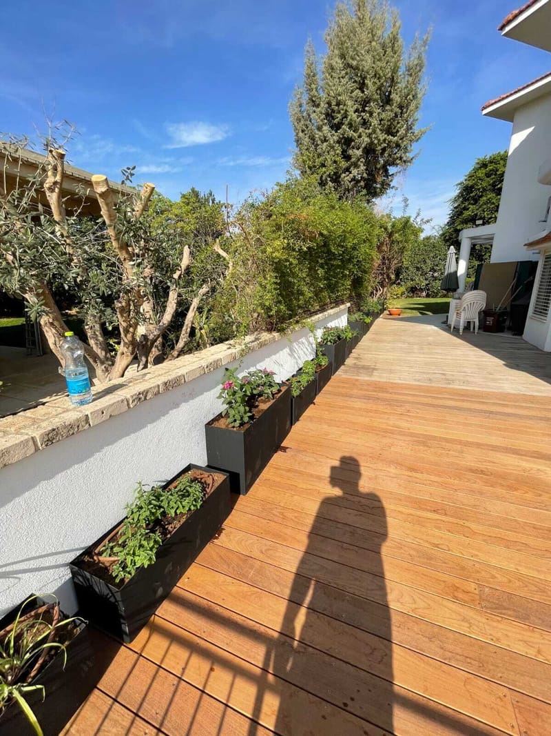 הפרויקטים שלנו