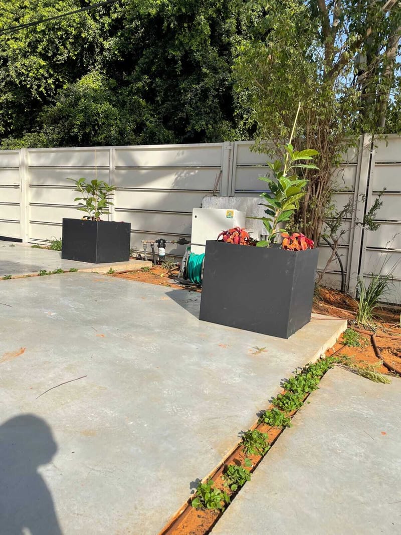 הפרויקטים שלנו