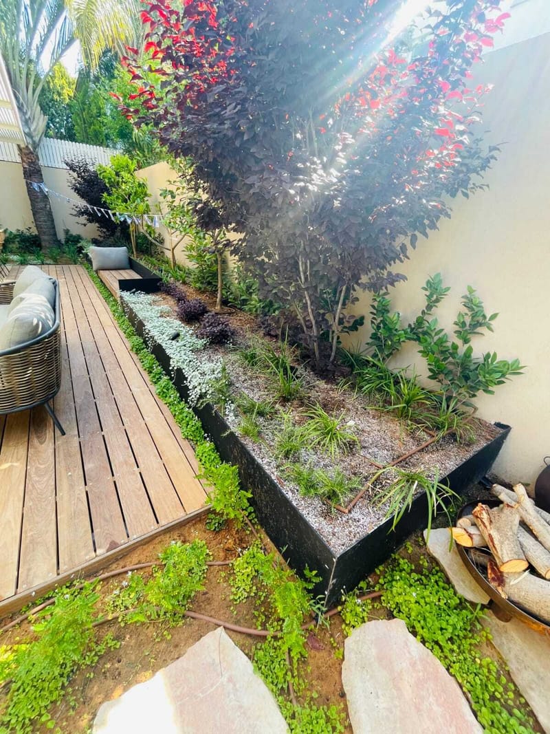 הפרויקטים שלנו