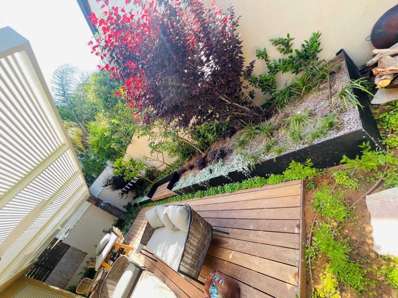 הפרויקטים שלנו