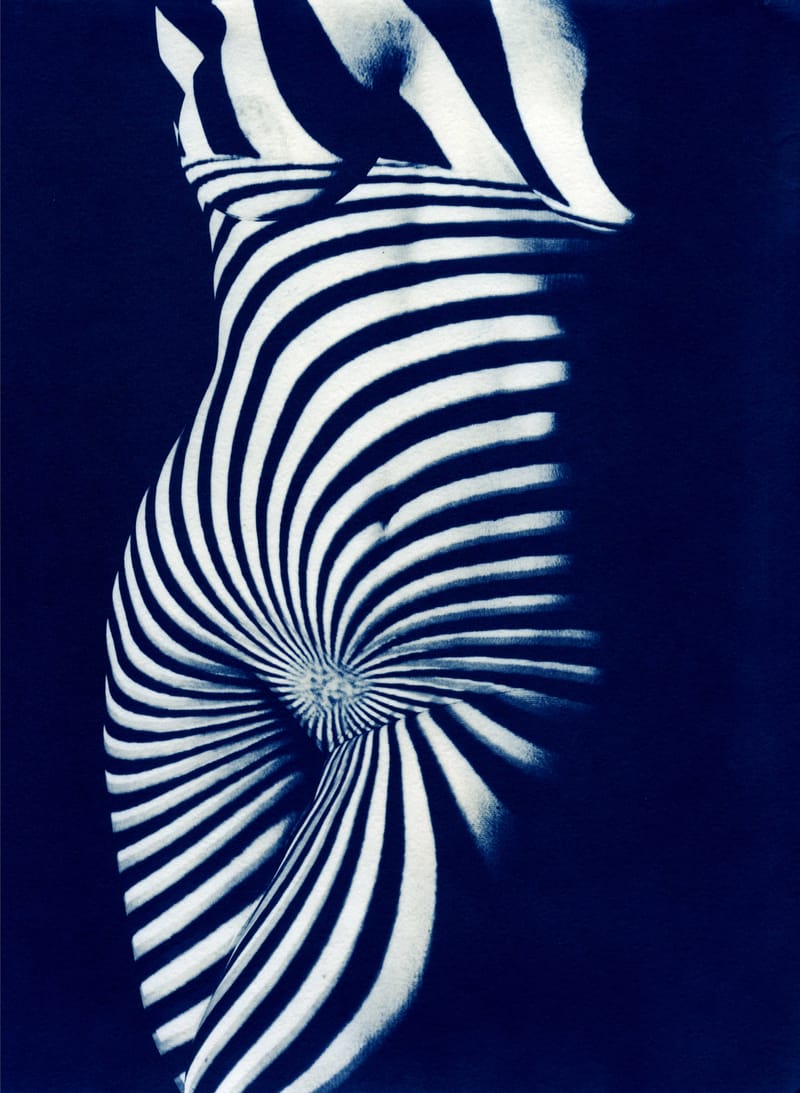 Майстер клас з ціанотипного друку