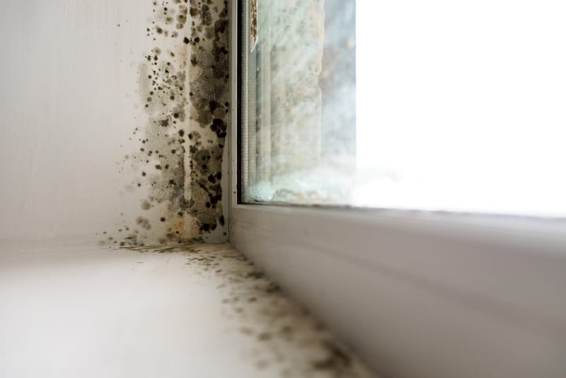 Remediation and Repairs