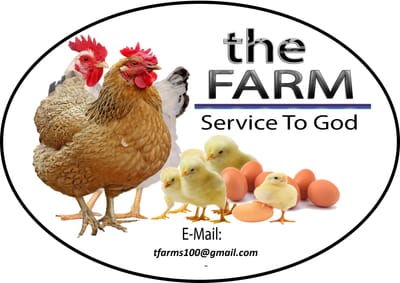 THE FARM POULTRY