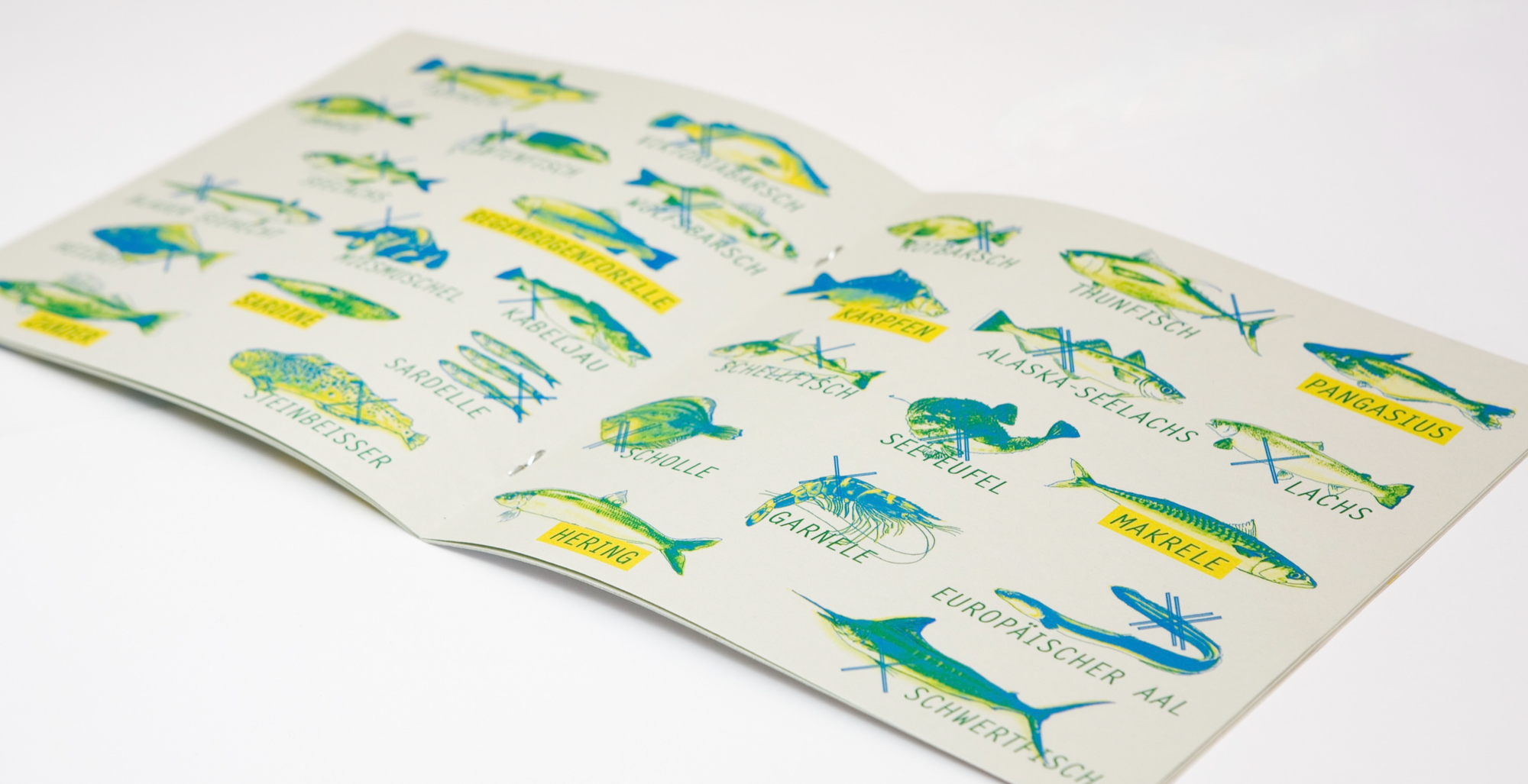  Campaign to raise awareness about mindful consumption