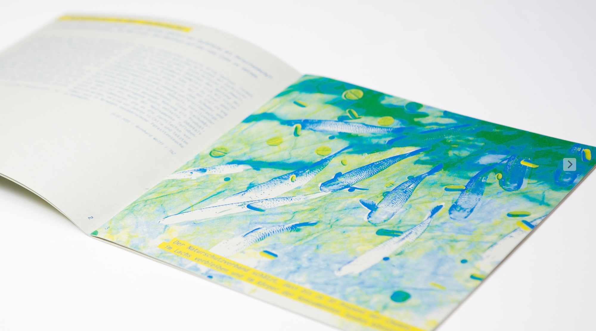  Campaign to raise awareness about mindful consumption