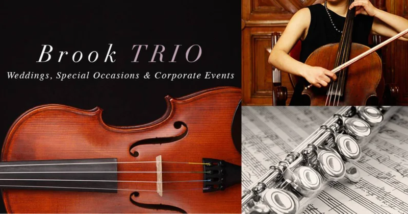 'brook trio' have a new website www.brooktrio.com