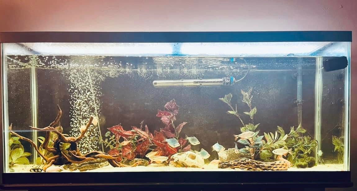 A Little Bit of This and That