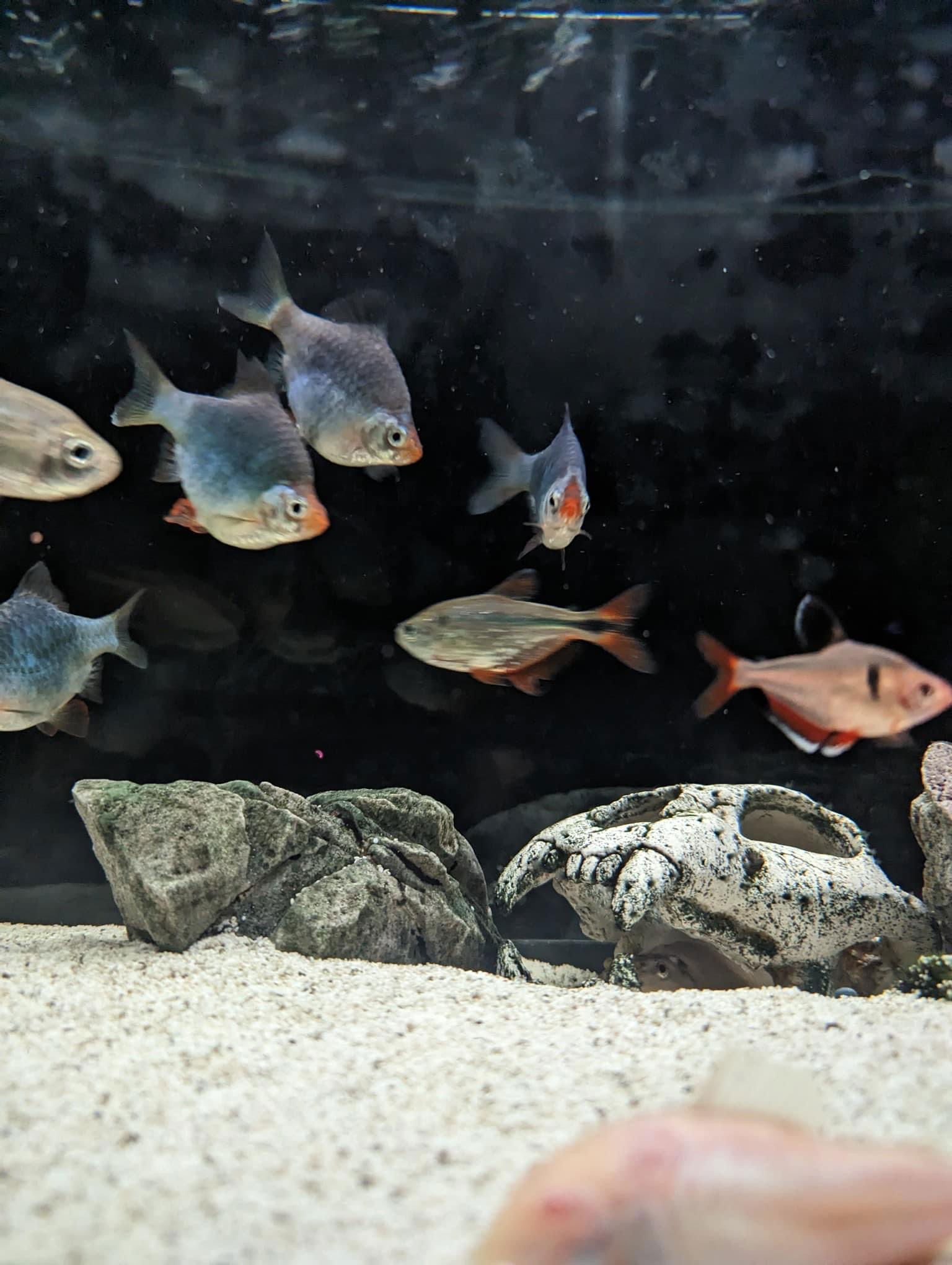 A Little Bit of This and That