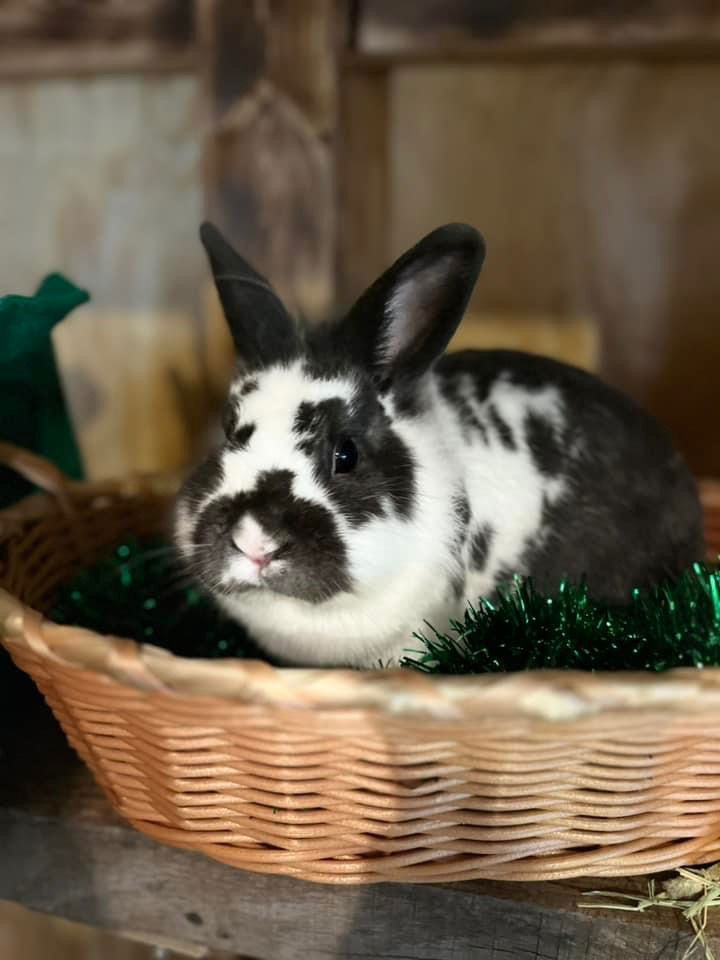 A Little Bit of This and That