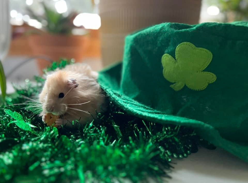 A Little Bit of This and That