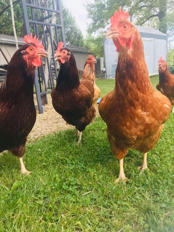 A Little Bit of This and That