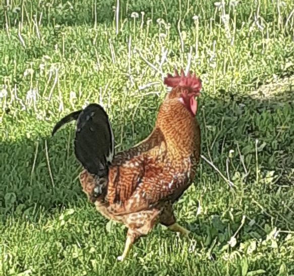 A Little Bit of This and That