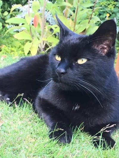 Life lessons from the boy Sebastian