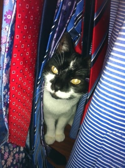 A light that will always shine