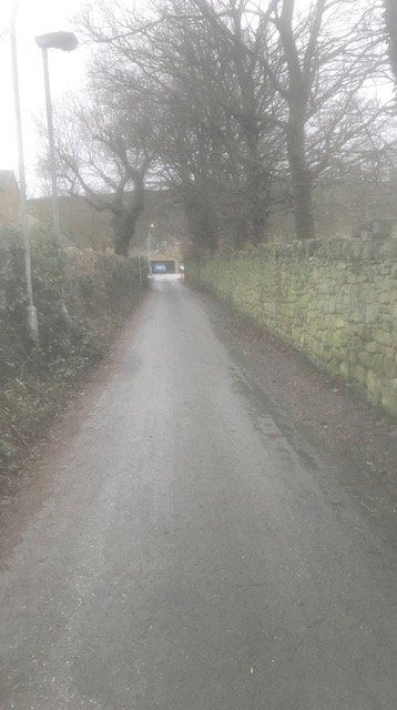 Walking just to be alive again