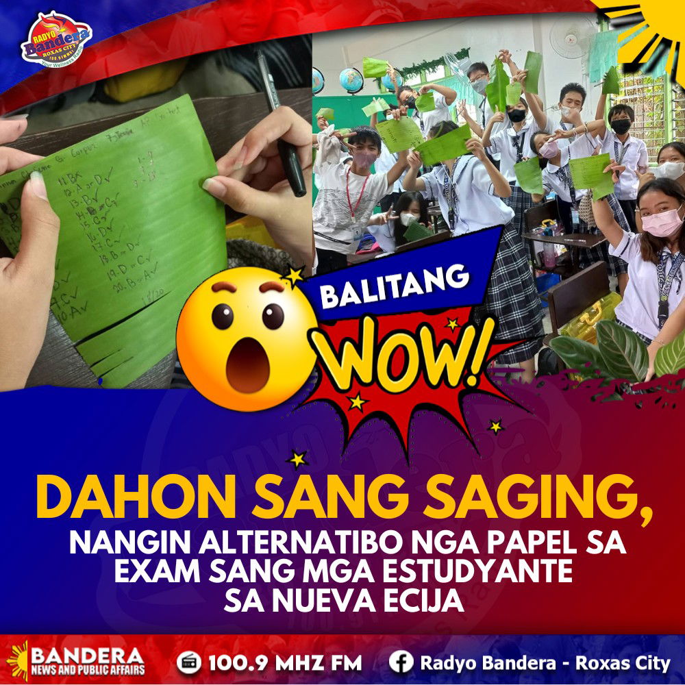 BALITANG WOW | DAHON SANG SAGING, NANGIN ALTERNATIBO NGA PAPEL SA EXAM SANG MGA ESTUDYANTE SA NUEVA ECIJA