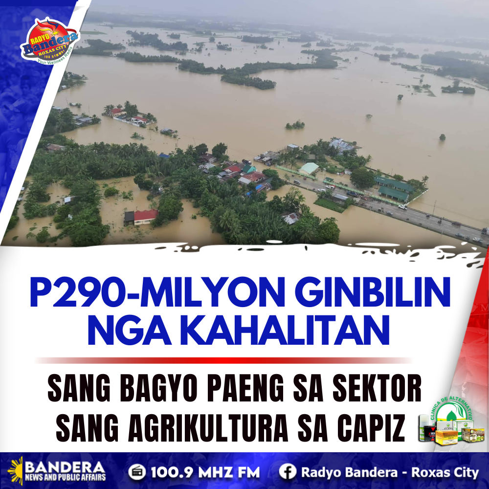 UPDATE | P290-MILYON GINBILIN NGA KAHALITAN SANG BAGYO PAENG SA SEKTOR SANG AGRIKULTURA SA CAPIZ