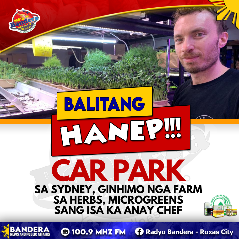 BALITANG HANEP | CAR PARK SA SYDNEY, GINHIMO NGA FARM SA HERBS, MICROGREENS SANG ISA KA ANAY CHEF