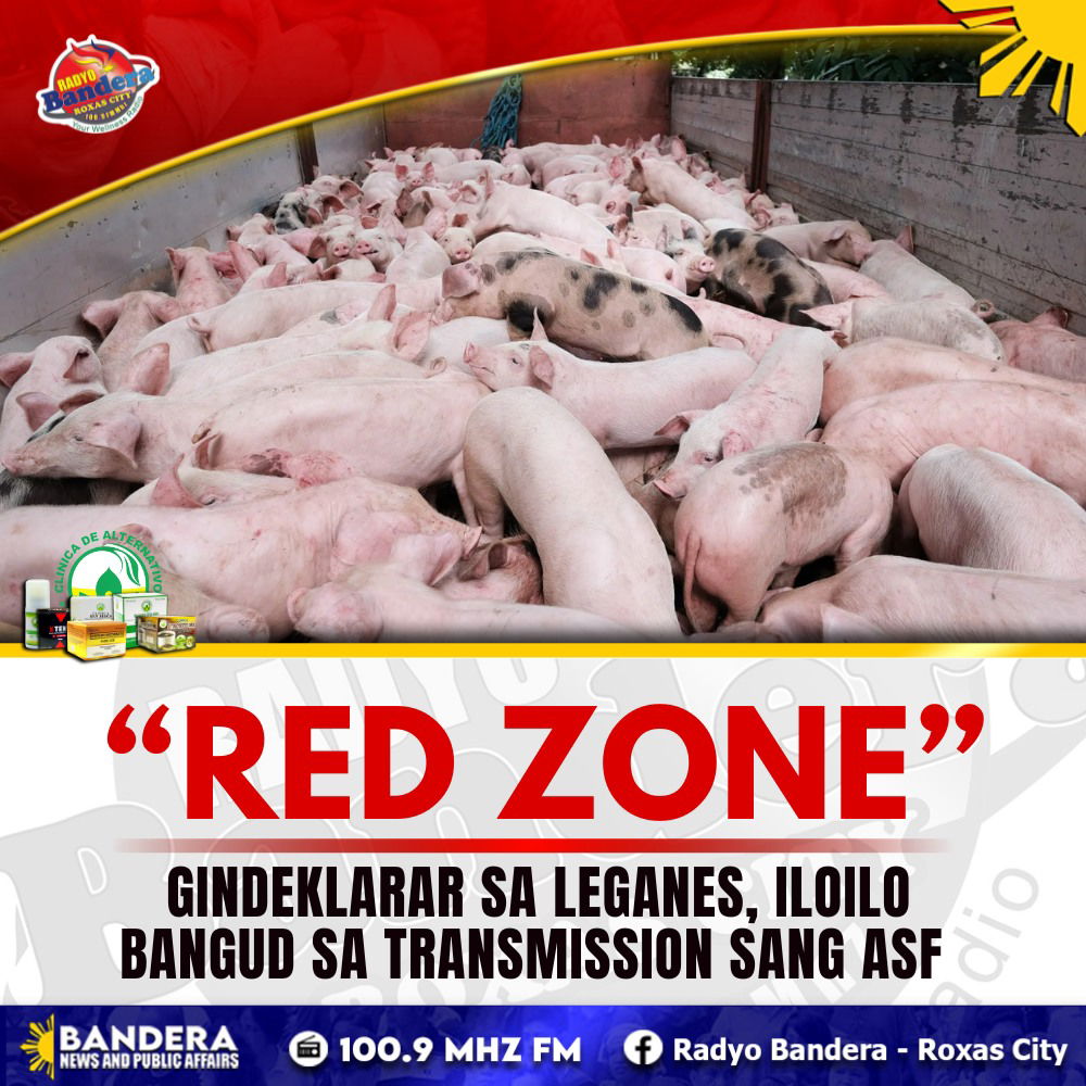 REGIONAL | “RED ZONE” GINDEKLARAR SA LEGANES, ILOILO BANGUD SA TRANSMISSION SANG ASF