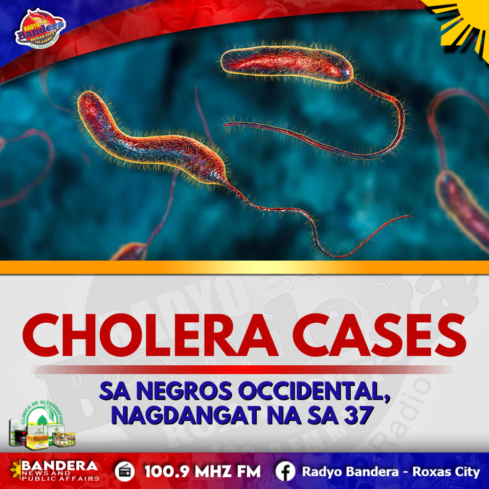 REGIONAL | KASO SANG CHOLERA SA NEGROS OCCIDENTAL, NAGDANGAT NA SA 37