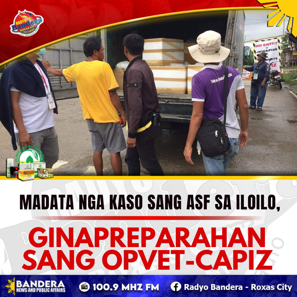 MADATA NGA KASO SANG ASF SA ILOILO, GINAPREPARAHAN SANG OPVET-CAPIZ