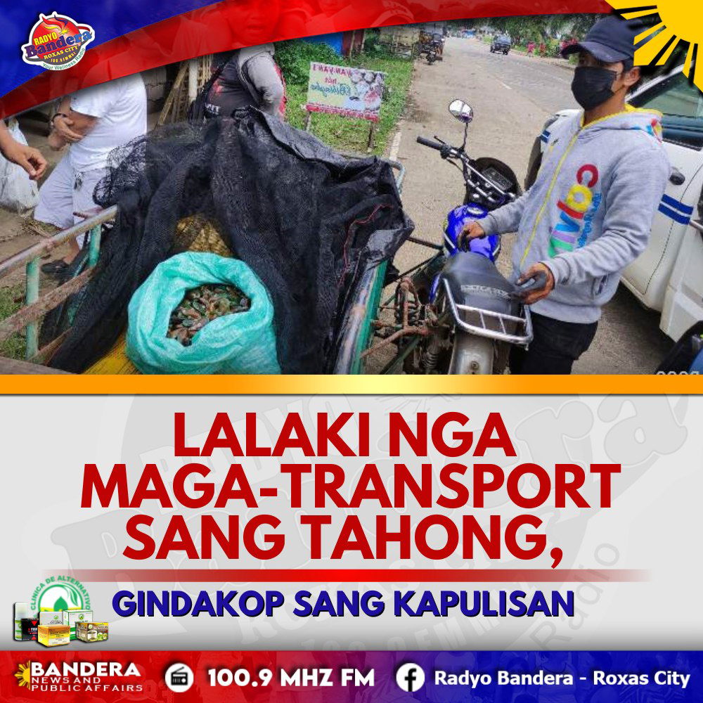 LALAKI NGA MAGA-TRANSPORT SANG TAHONG, GINDAKOP SANG KAPULISAN