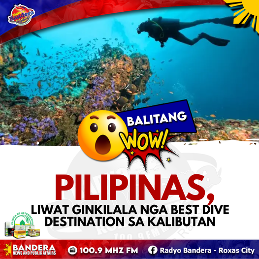 BALITANG WOW | PILIPINAS, LIWAT GINKILALA NGA BEST DIVE DESTINATION SA KALIBUTAN