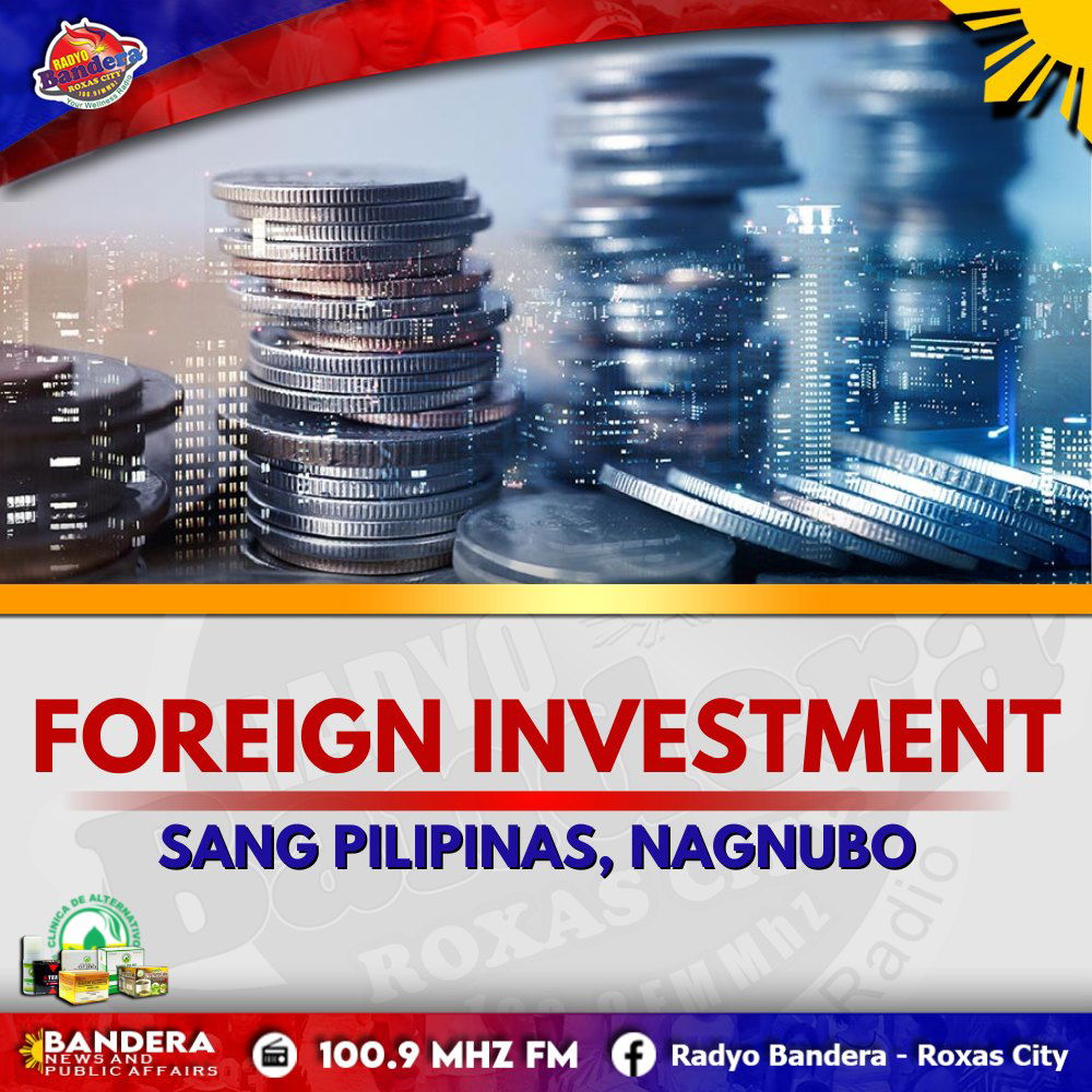 NEGOSYO | FOREIGN INVESTMENT SANG PILIPINAS, NAGNUBO