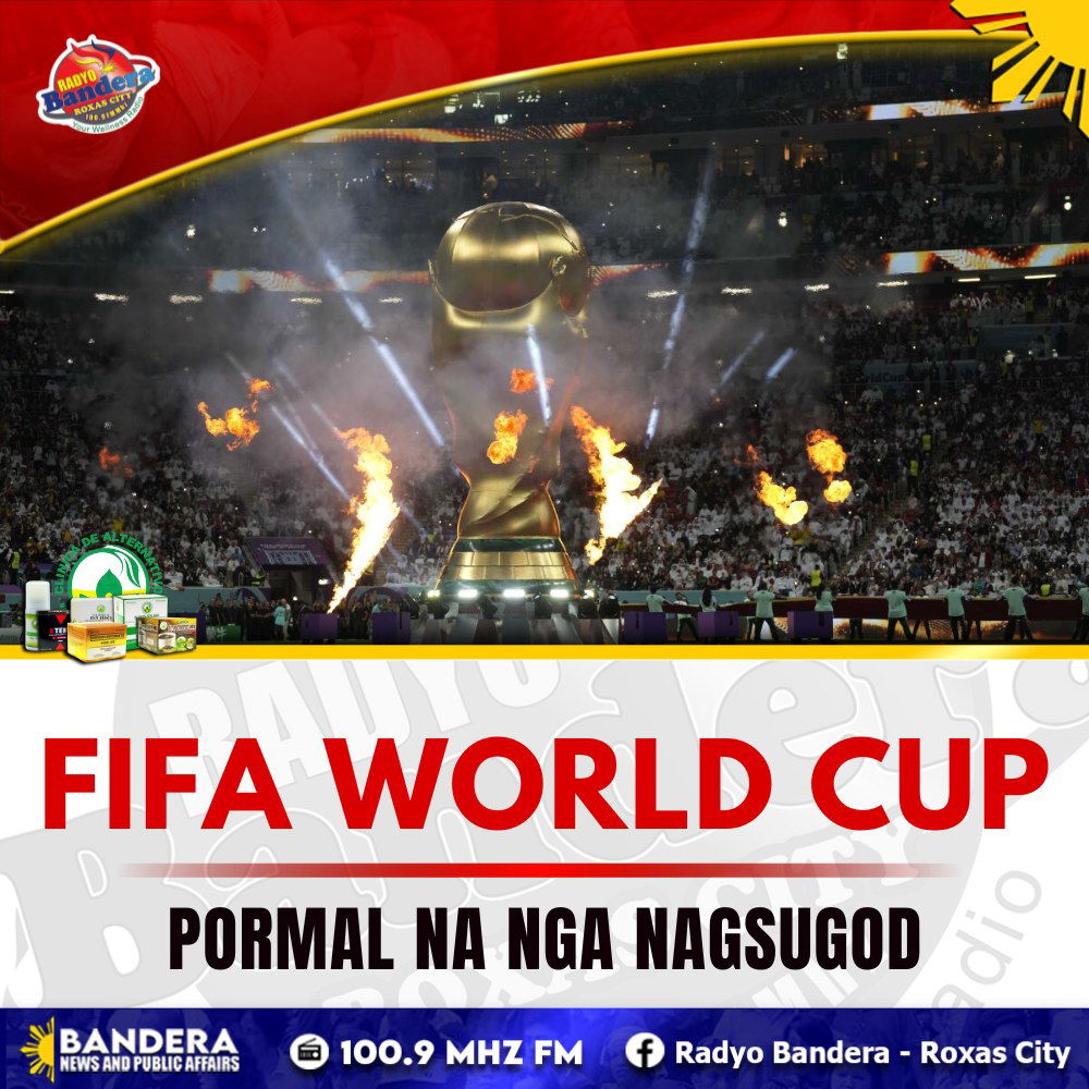 FIFA WORLD CUP, PORMAL NA NGA NAGSUGOD