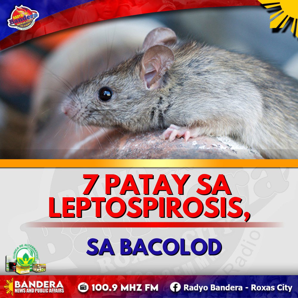 REGIONAL | 7 PATAY SA LEPTOSPIROSIS, SA BACOLOD