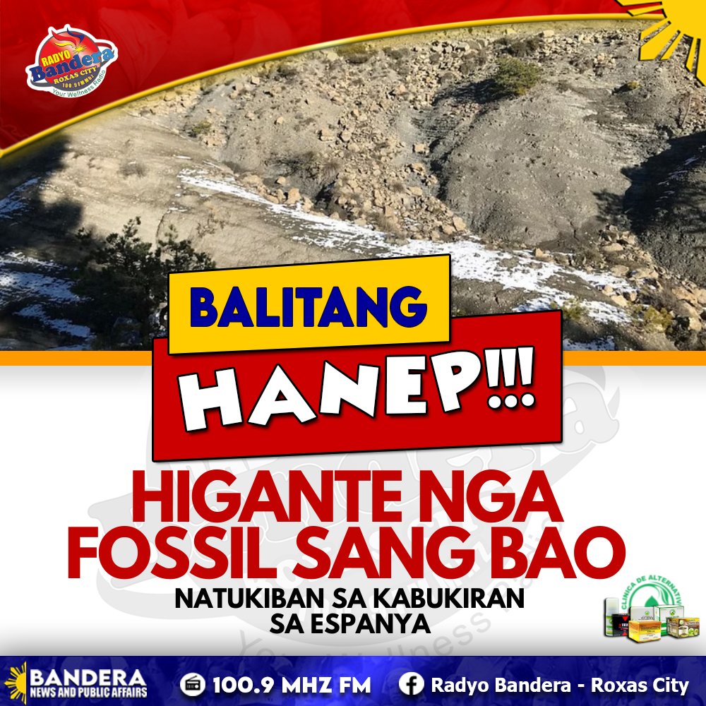 BALITANG HANEP | HIGANTE NGA FOSSIL SANG BAO, NATUKIBAN SA KABUKIRAN SA ESPANYA