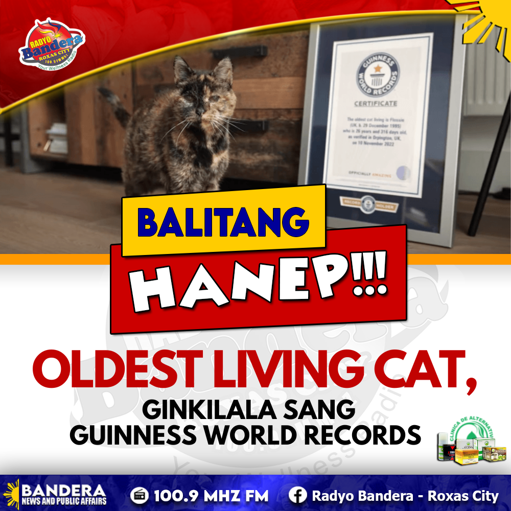 BALITANG HANEP | OLDEST LIVING CAT, GINKILALA SANG GUINNESS WORLD RECORDS