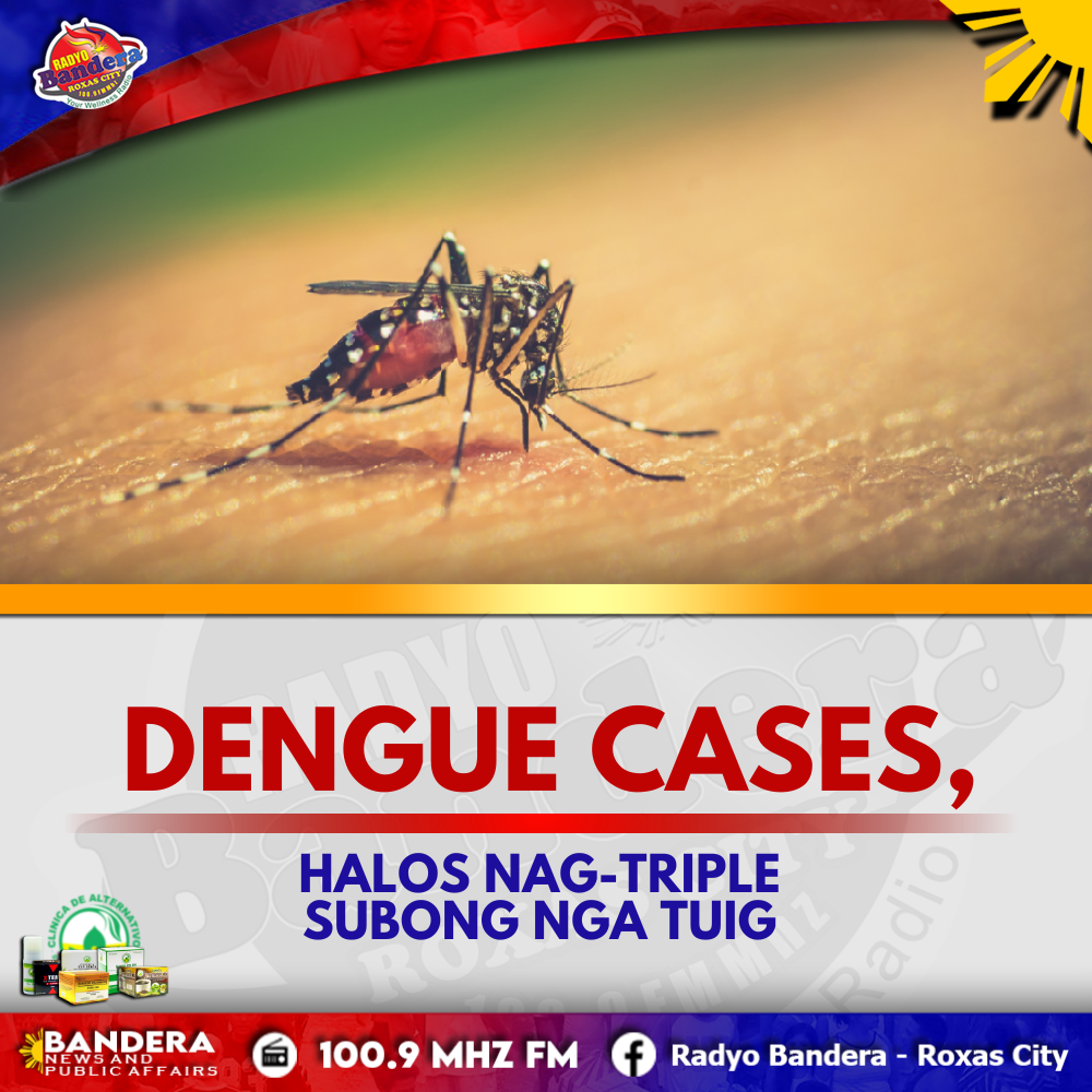 NATIONAL | DENGUE CASES, HALOS NAG-TRIPLE SUBONG NGA TUIG