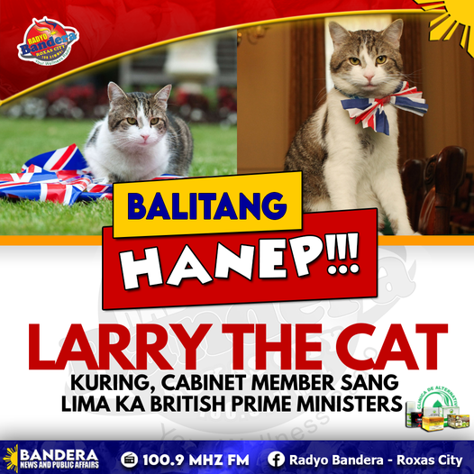 BALITANG HANEP | KURING, CABINET MEMBER SANG LIMA KA BRITISH PRIME MINISTERS