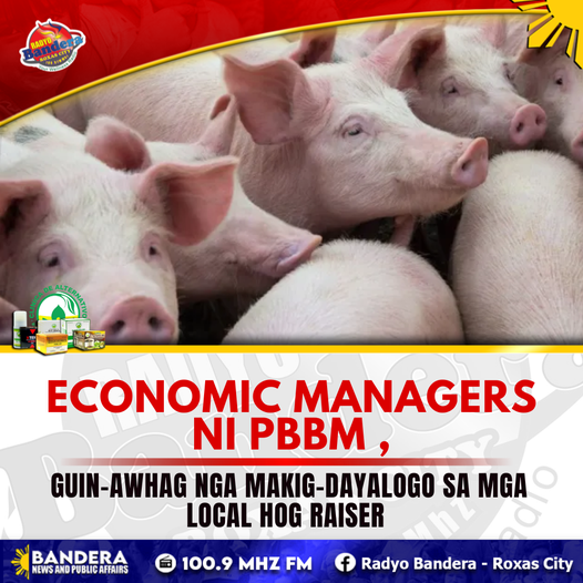 NATIONAL | ECONOMIC MANAGERS NI PBBM ,GUIN-AWHAG NGA MAKIG-DAYALOGO SA MGA LOCAL HOG RAISER