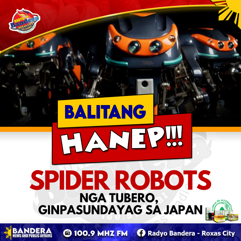 BALITANG HANEP | SPIDER ROBOTS NGA TUBERO, GINPASUNDAYAG SA JAPAN