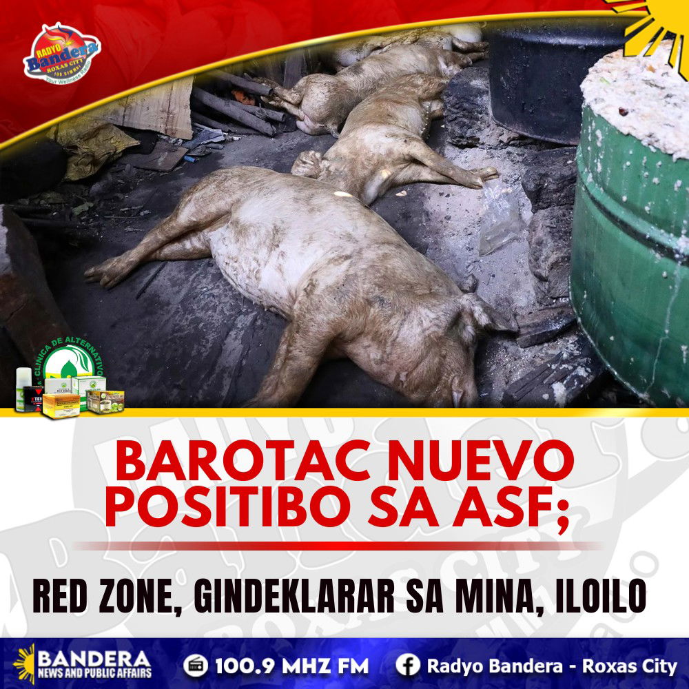 REGIONAL | BAROTAC NUEVO POSITIBO SA ASF; RED ZONE, GINDEKLARAR SA MINA, ILOILO